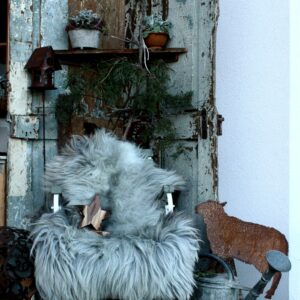 Heidschnucke Silber-Grau-Braun